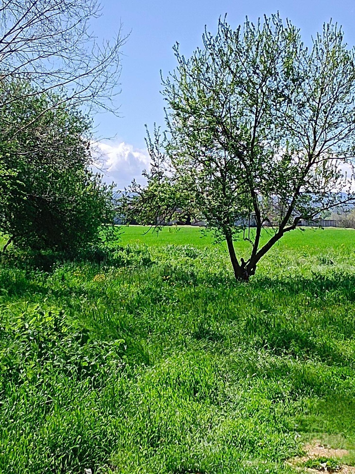 קרספלאנו La Maison Rouge מראה חיצוני תמונה